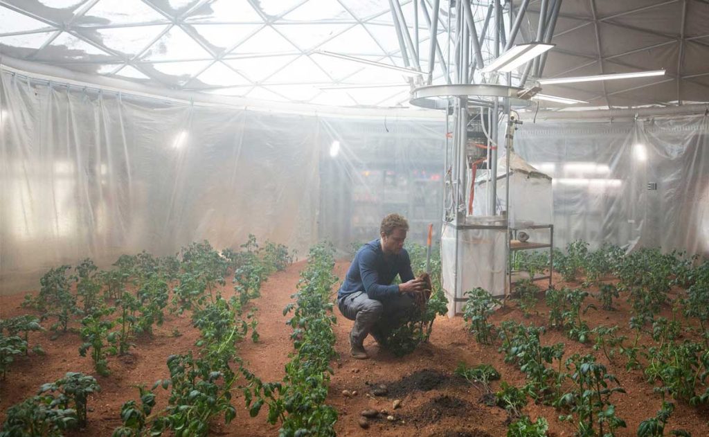 Scientist Are Able To Grow Plant On The Moon's Surface For The First