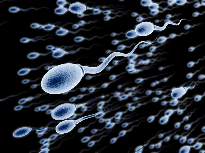 Scientists Are Trying to Create Male Contraceptives - The Morning News