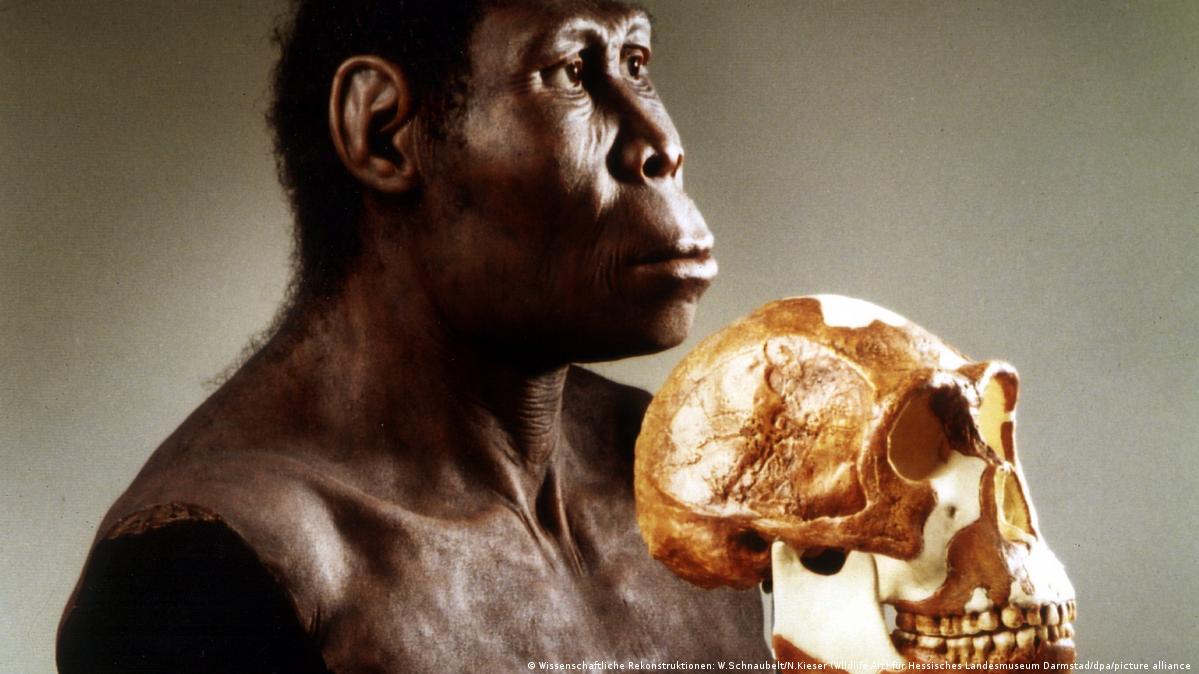 Fossils Show Human Ancestors Were European, Not African