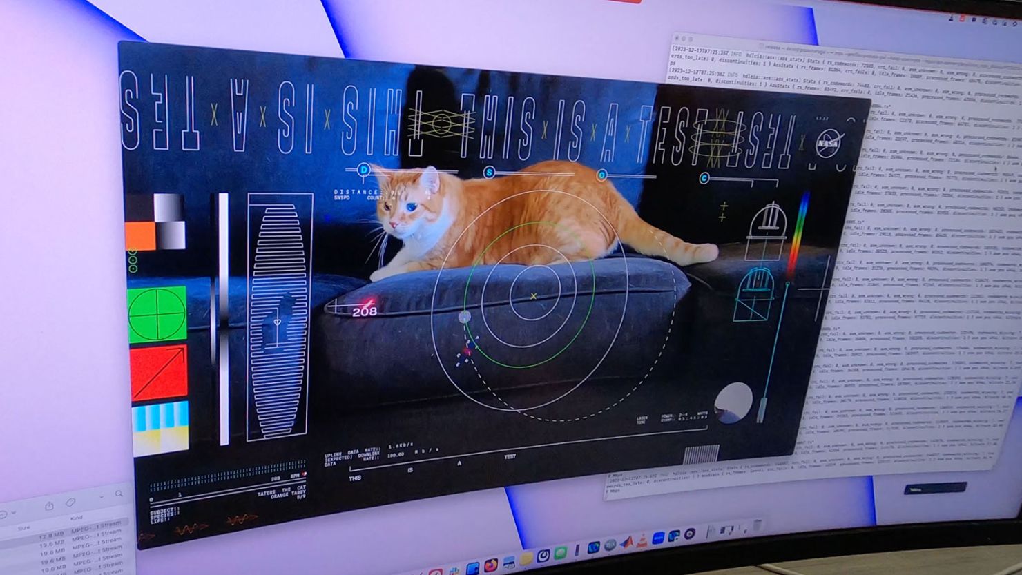 Meow from Mars: Nasa streams cat video from craft 30 million km away