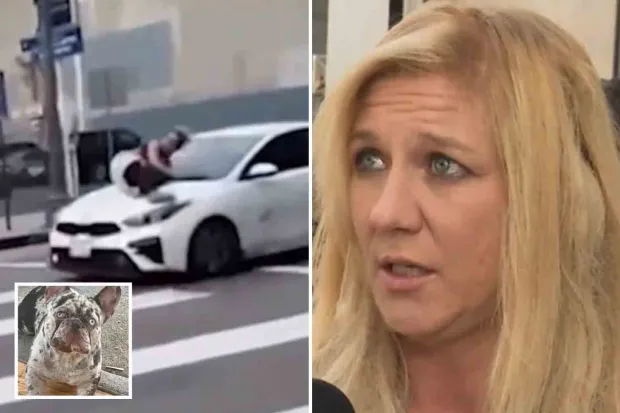 Woman Jumps Over Speeding Car With Stolen Dog Inside