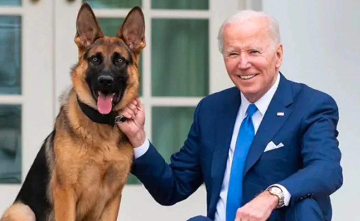 Joe Biden's Dog Bit US Secret Service Agents 24 Times in One Year