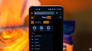 Top Adult Site Most Searched Fictional Characters of 2024 - The Morning