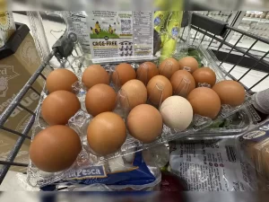 pennsylvania egg heist