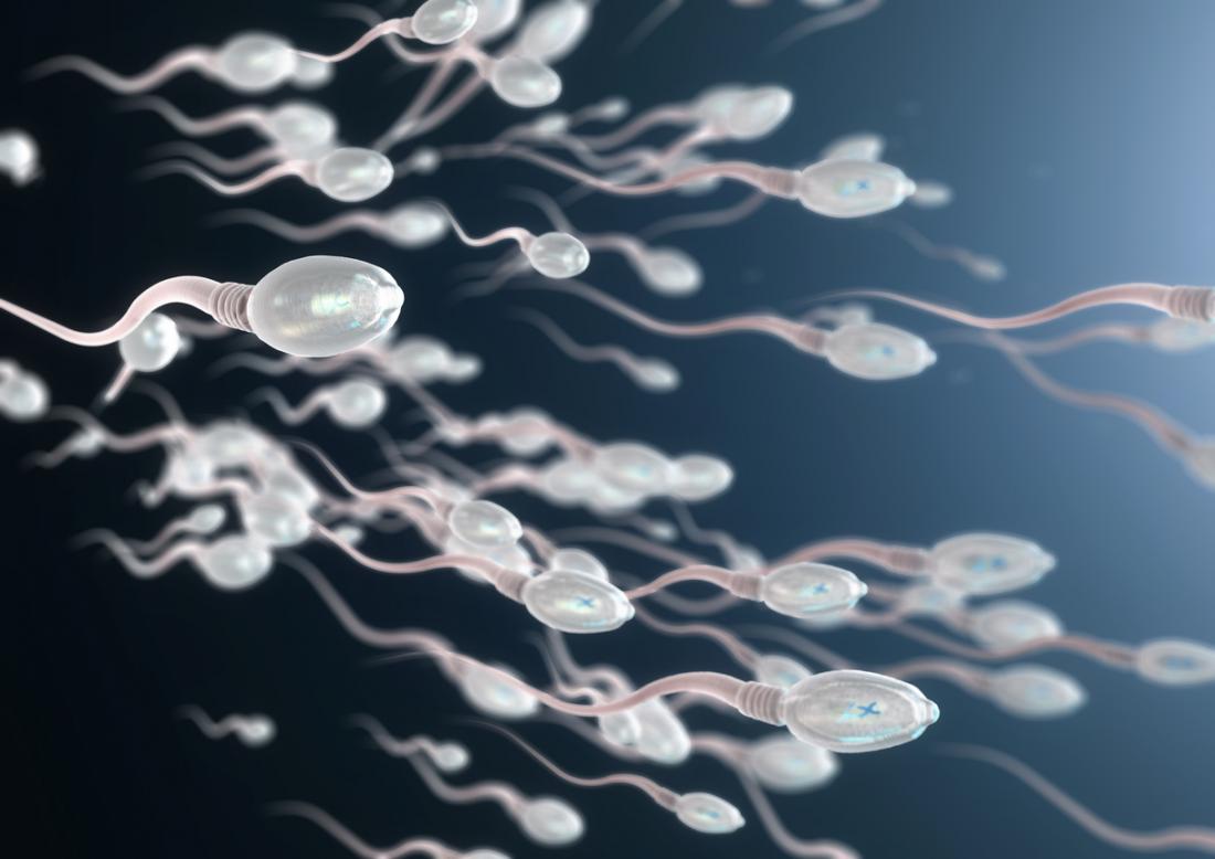 High sperm quality assures longer life.