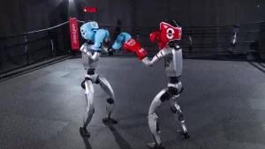 China stages first-ever humanoid robot kickboxing match.