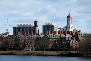 Harvard researcher accused of smuggling frog embryos remains in custody after judge grants ICE bail.
