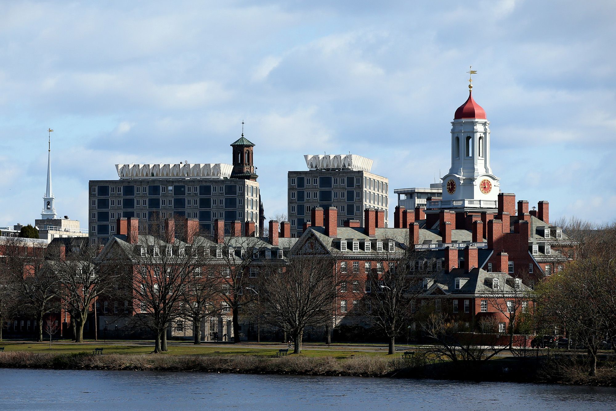 Harvard researcher accused of smuggling frog embryos remains in custody after judge grants ICE bail.
