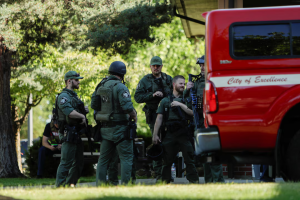 Two firefighters shot dead in Idaho ambush, police say.