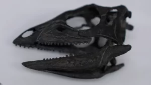 Dog-sized dinosaur that ran around feet of giants discovered.