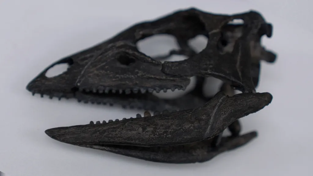 Dog-sized dinosaur that ran around feet of giants discovered.