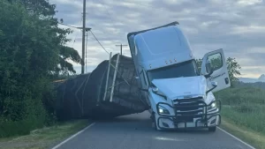 14 Million Bees Swarm After Massive Truck Crash Warning Issued.