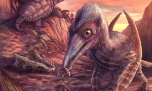 200-million-year-old flying reptile species found in Arizona.