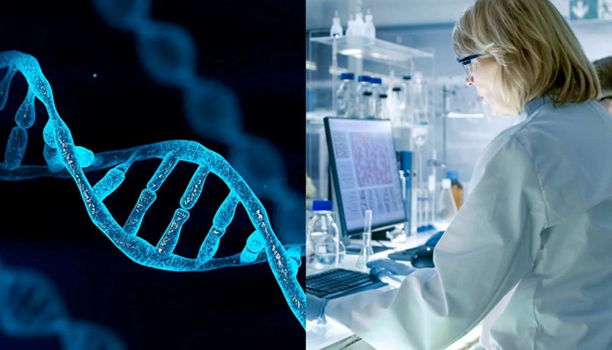 Scientists unveil ambitious plan to build first human artificial DNA.