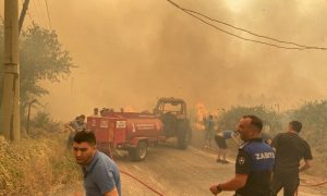 Thousands flee wildfires in Turkiye as Europe is hit by early heatwave.