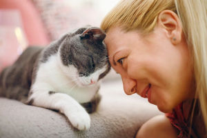 New research centre to explore how AI can help humans ‘speak’ with pets.