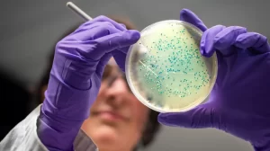 AI designs antibiotics for gonorrhoea and MRSA superbugs.