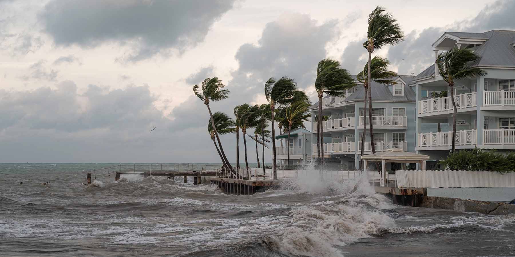 Hurricane Erin grows as it barrels towards Caribbean.