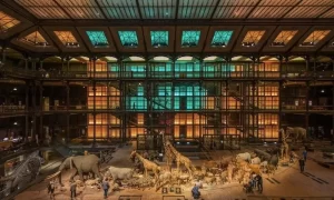 Gold worth 600,000 euros stolen in Paris museum heist.