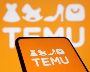 China’s Temu more than doubles EU profits to nearly $120m despite having only eight staff.