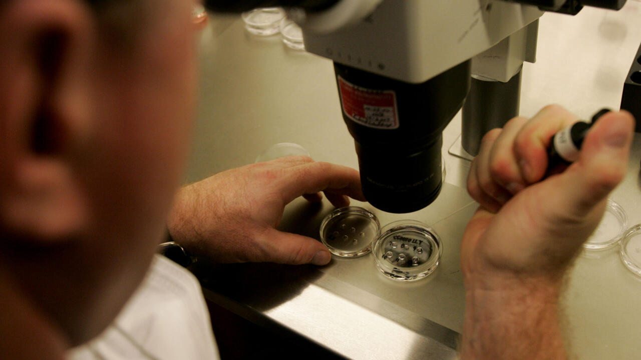 Human skin cells turned into fertilisable eggs for first time.
