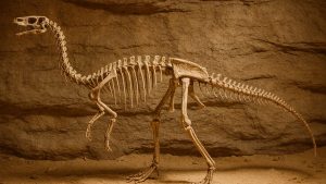 One of world’s oldest dinosaurs discovered in Andes Mountains.