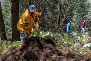 Families search Mexican forest for remains of over 100 missing.