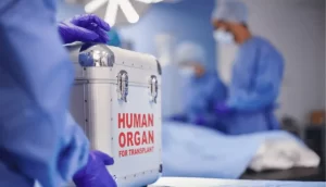 New AI tool could cut wasted efforts to transplant organs by 60%.