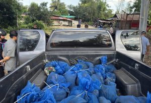 Attempt to smuggle 81 monkeys in mesh bags foiled.