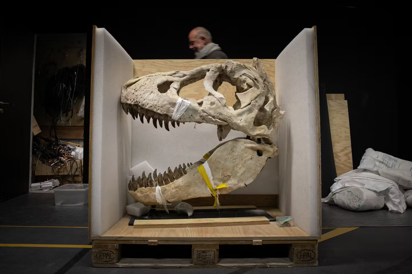 France returns smuggled dinosaur skeleton to Mongolia.