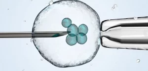 AI tools help choose best embryos for in vitro fertilisation.