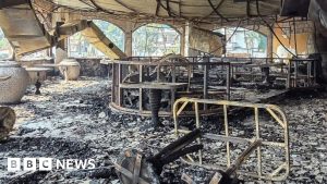 Staff and tourists among 25 killed in Goa nightclub fire.