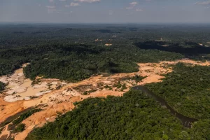 Nearly 200 arrested in cross-border crackdown on gold mining in Amazon.