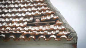 Portugal braces for more rain as 200,000 left without power.