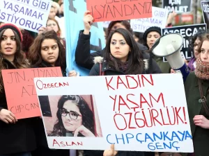 Prisoner on parole kills wife, mother and daughter in Turkiye.