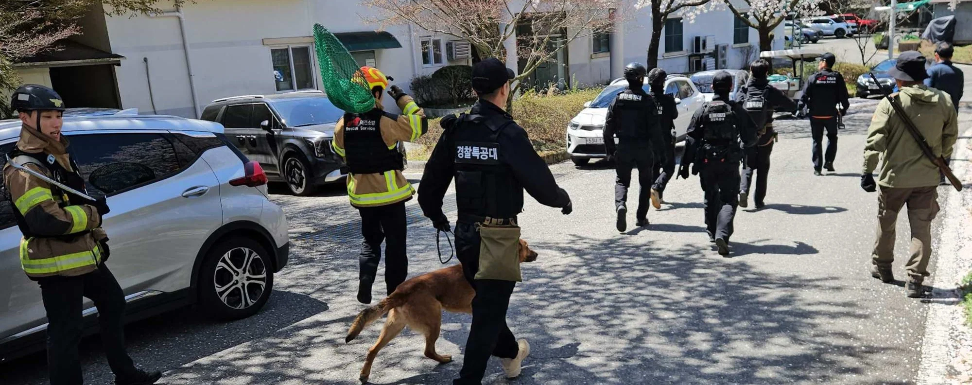 Escaped wolf forces school closure in South Korea.