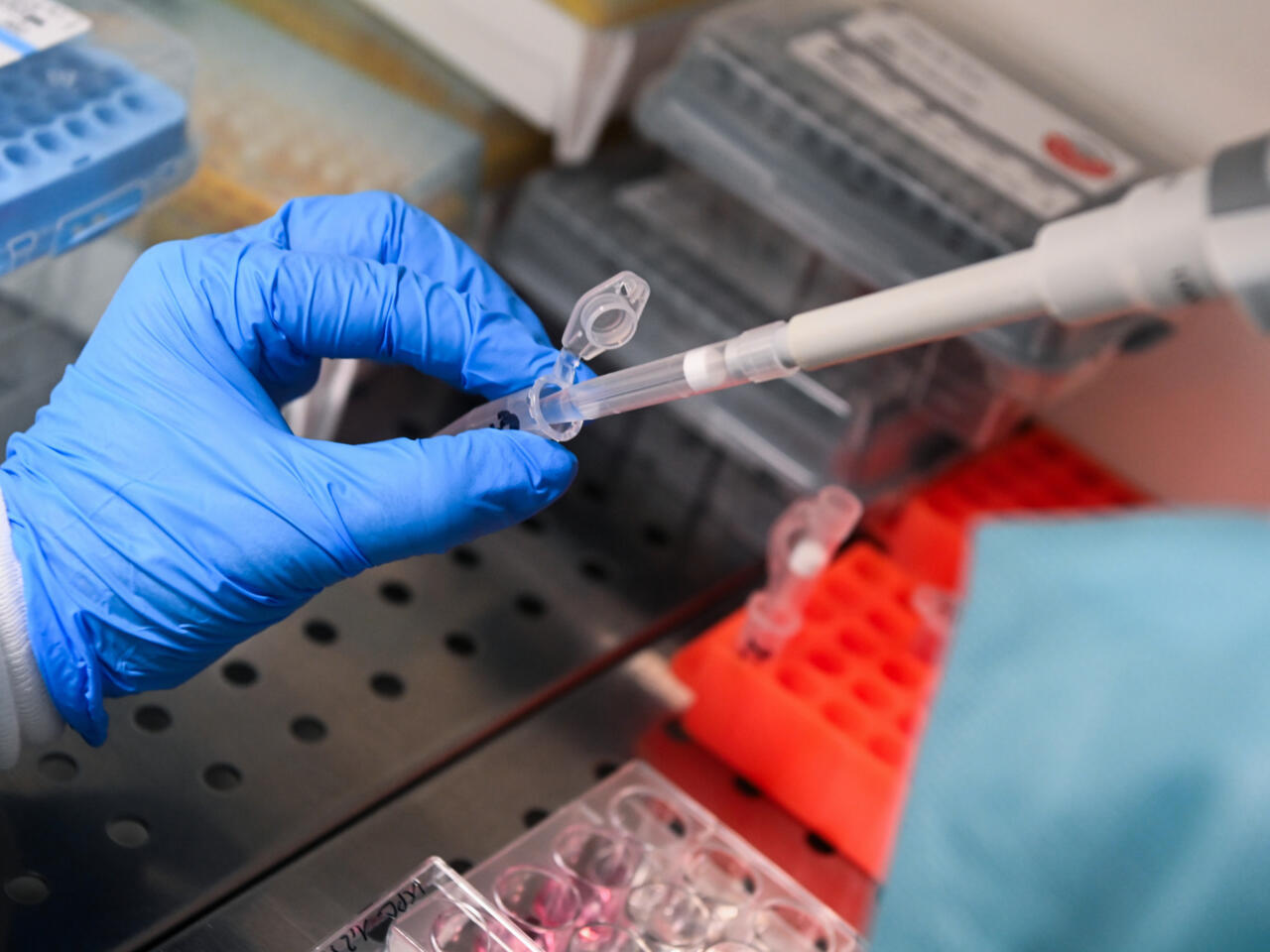 New drugs raise hopes of pancreatic cancer breakthrough.