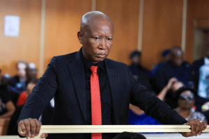 Julius Malema showed little emotion as he received news of the sentence.