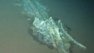 World’s largest whale graveyard discovered by Chinese sub.