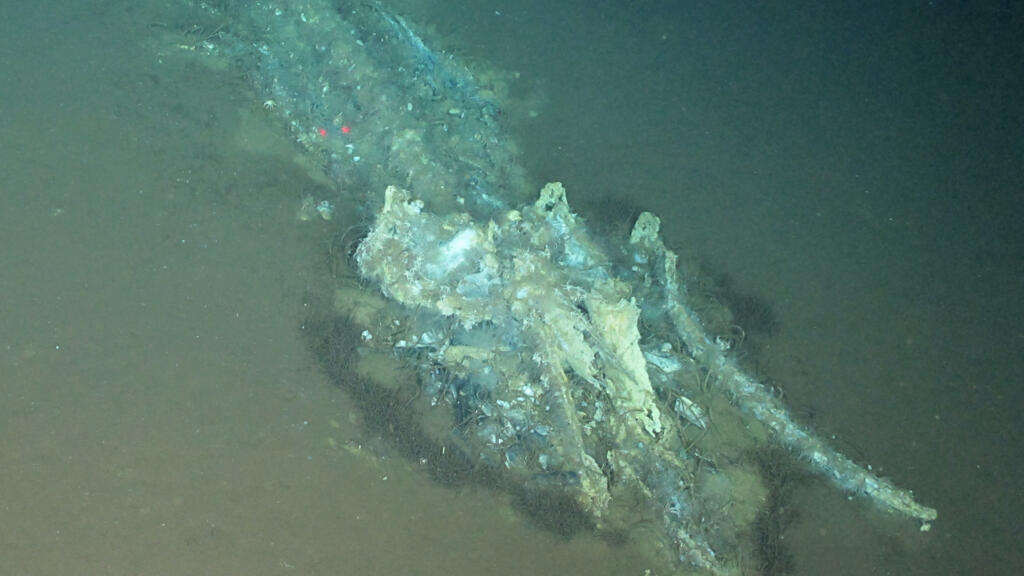 World’s largest whale graveyard discovered by Chinese sub.
