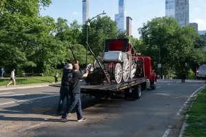 Teenager dies in horse-drawn carriage accident in New York.