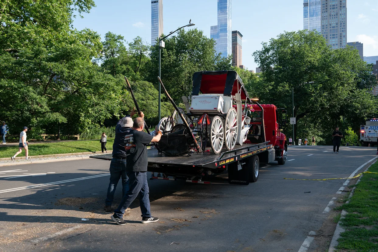 Teenager dies in horse-drawn carriage accident in New York.