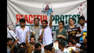 Hundreds join protest led by India's viral 'Cockroach Party'.