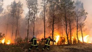 France and Spain wildfire witnesses describe 'wall of flames', fear and stress.