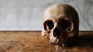 Cannibalism is bad for your health, scientists find.