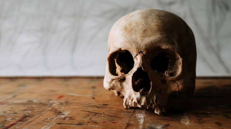 Cannibalism is bad for your health, scientists find.