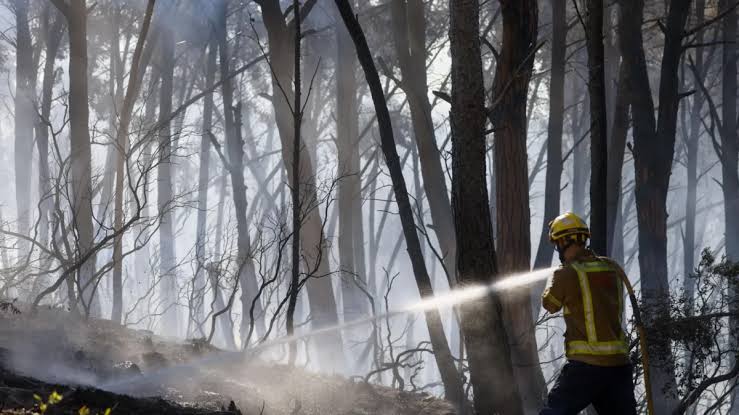 Twelve die in wildfire in Spain as heatwave continues in southern Europe.