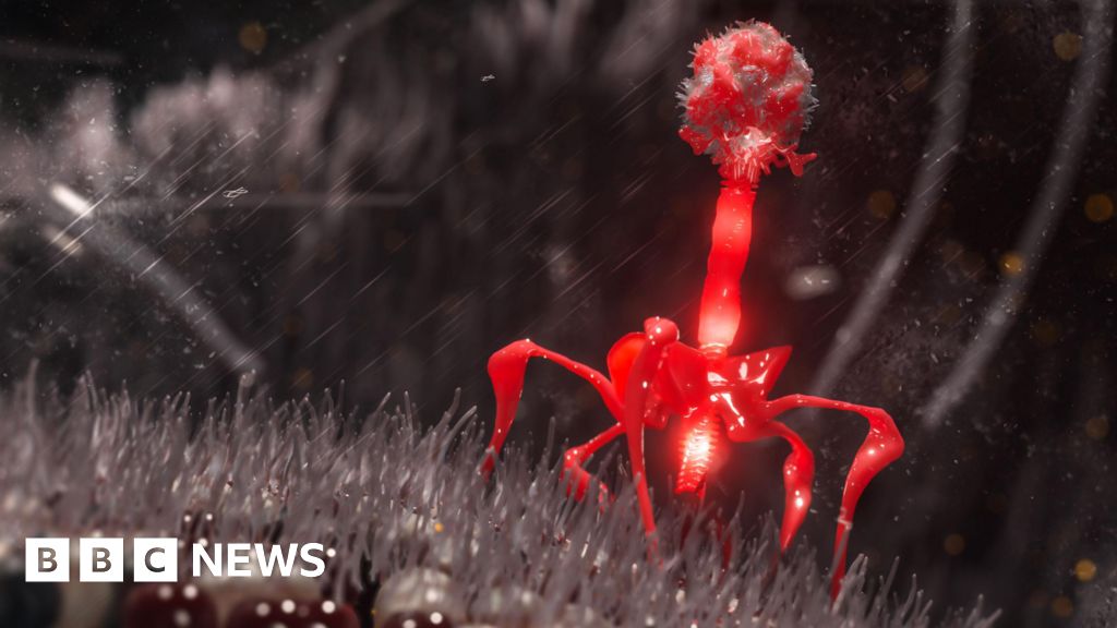A graphic showing one of the AI designed bacteriophage viruses made in the laboratory.