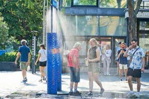 Germany reports record 14,000 heat-related deaths.