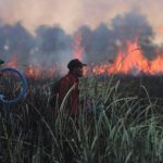 More than 170,000 respiratory cases recorded in haze-choked Indonesia.